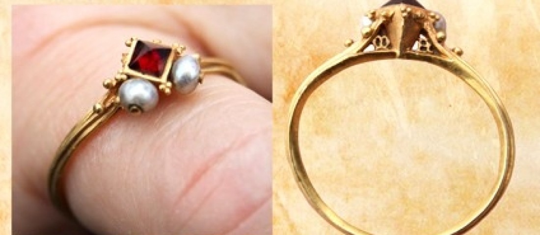 Find of the year 2013